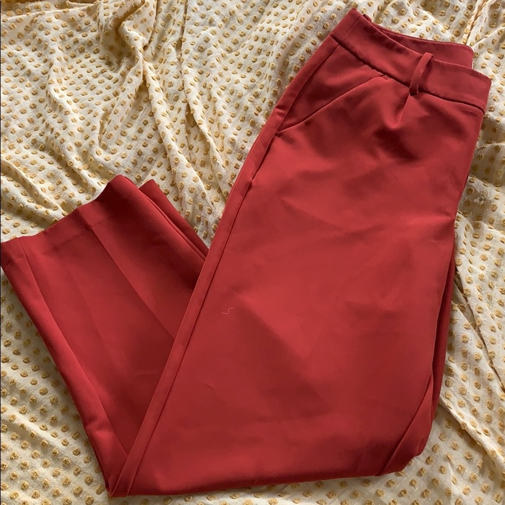 Burnt orange trouser pants